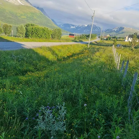 Paradis In Norway *