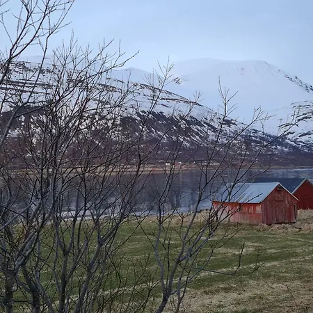 Paradis In Norway Apartman Nord-Lenangen