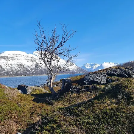 Apartman Paradis In Norway *