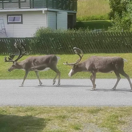 Paradis In Norway Appartement