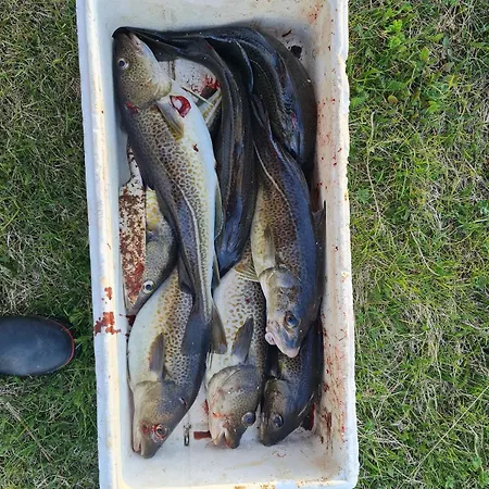 Paradis In Norway * Nord-Lenangen