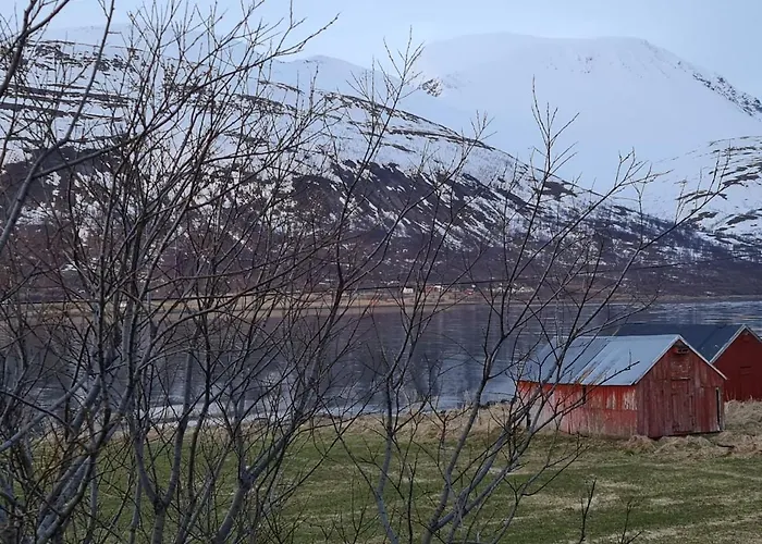 Paradis In Norway Апартаменты Nord-Lenangen