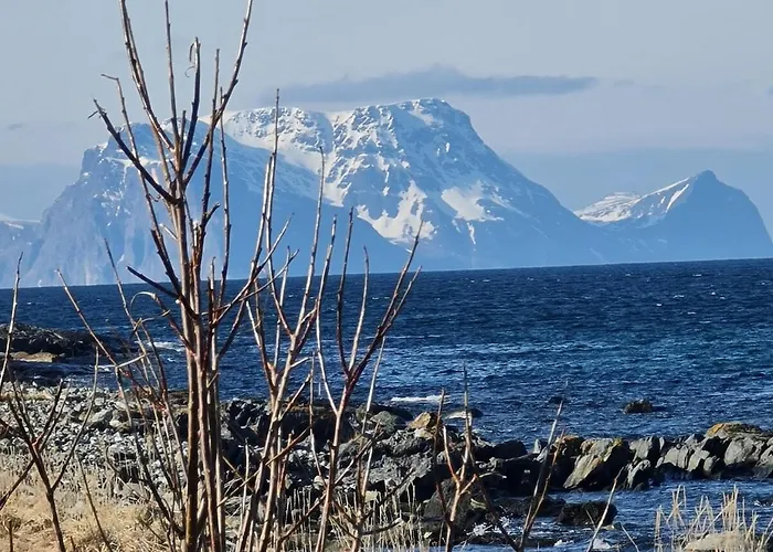 Апартаменты Paradis In Norway *