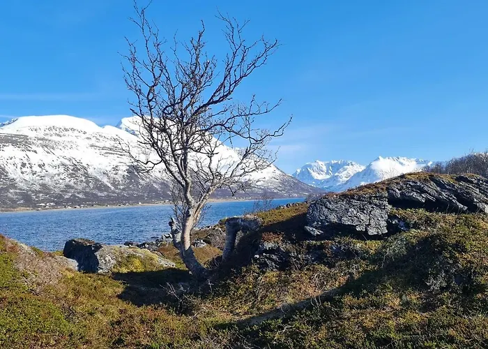 Апартаменты Paradis In Norway *