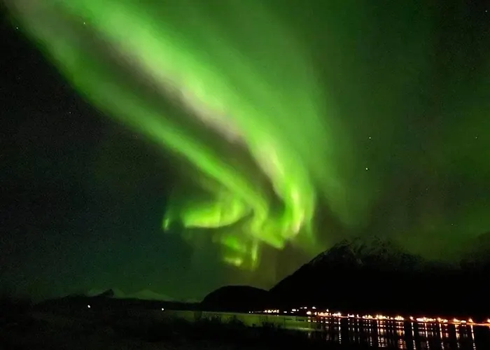Paradis In Norway Апартаменты
