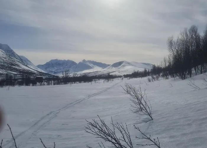 Paradis In Norway