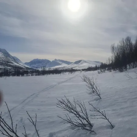 Paradis In Norway